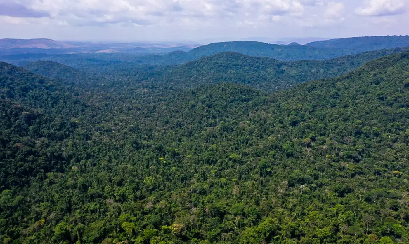 Desmate na amazônia em maio fica perto de mínima histórica